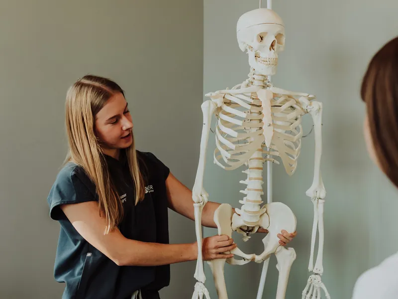 A therapist pointing out the lower spine and pelvis on a skeleton model