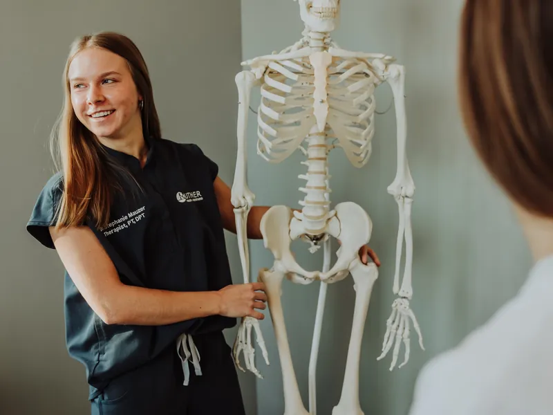 A therapist showing the curve of the spine on a skeleton model